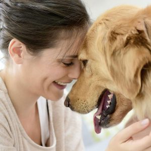 The Benefits of Having a Dog Companion