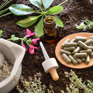 Discover the Power of Amish Natural Health Remedies