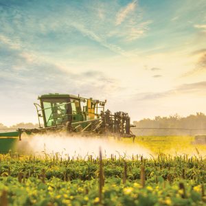 The Importance of Supplementation in this Day and Age