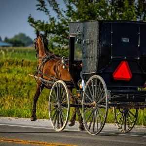 Amish Coffee Soup: A Unique Blend of Tradition and Flavor