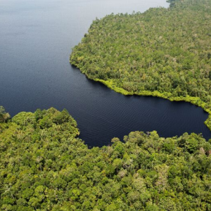 The Incredible Power of Endorphins and Their Relationship with Vitamins