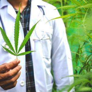 The Pros and Cons of Using Marijuana for Health