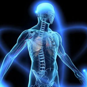 Harnessing the Power of PEMF: Unveiling the Benefits