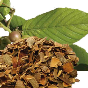 Cascara Sangrada: What You Need to Know