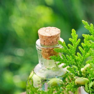 The Power of Homeopathics: Unlocking the Secrets of Natural Healing