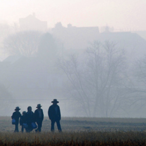Amish Sexual Abuse: Understanding the Complex Issue