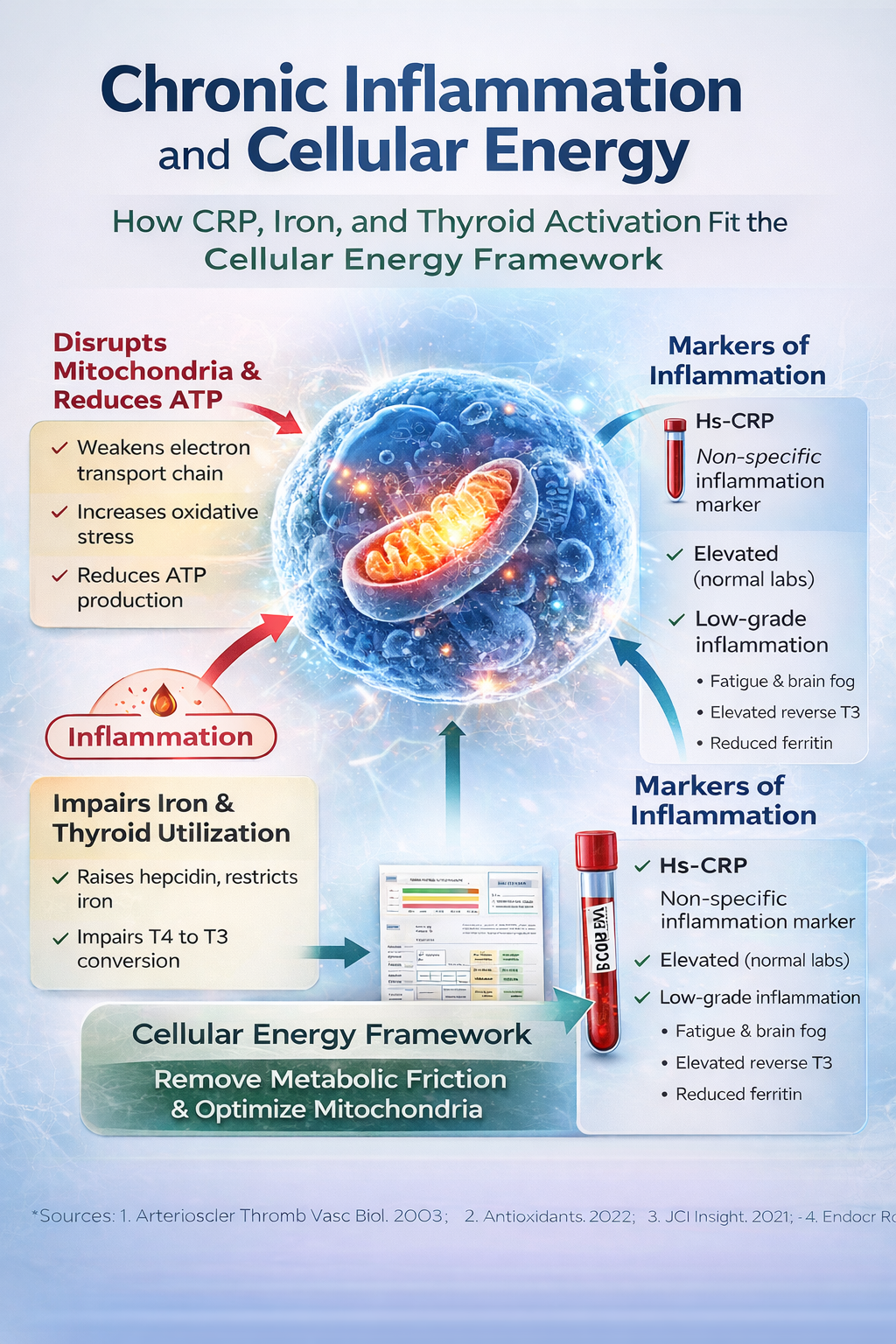 Inflammation Is an Energy Thief: How CRP, Iron, and Thyroid Conversion Fit the Cellular Energy Framework